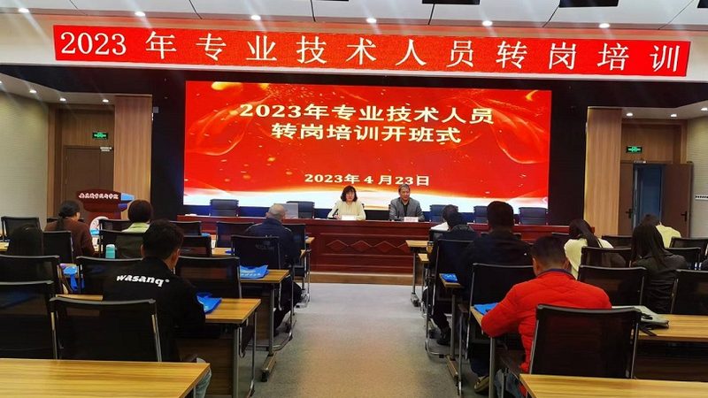 企业内训课程大纲：分类与结构解析